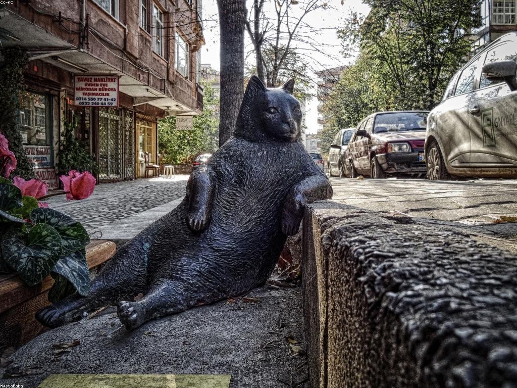 ចំណេះដឹងកម្រិតខ្ពស់នៅក្នុងប៉ូកឺរ